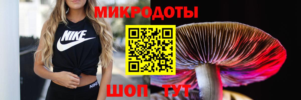 Железноводск  Галлюциногенные грибы Psilocybine cubensis  Вход с VPN 