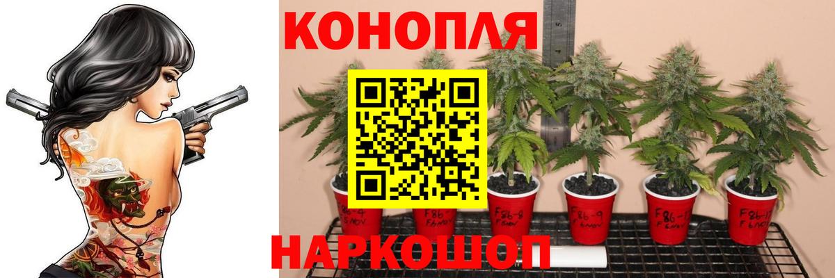 Конопля LSD WEED Железноводск